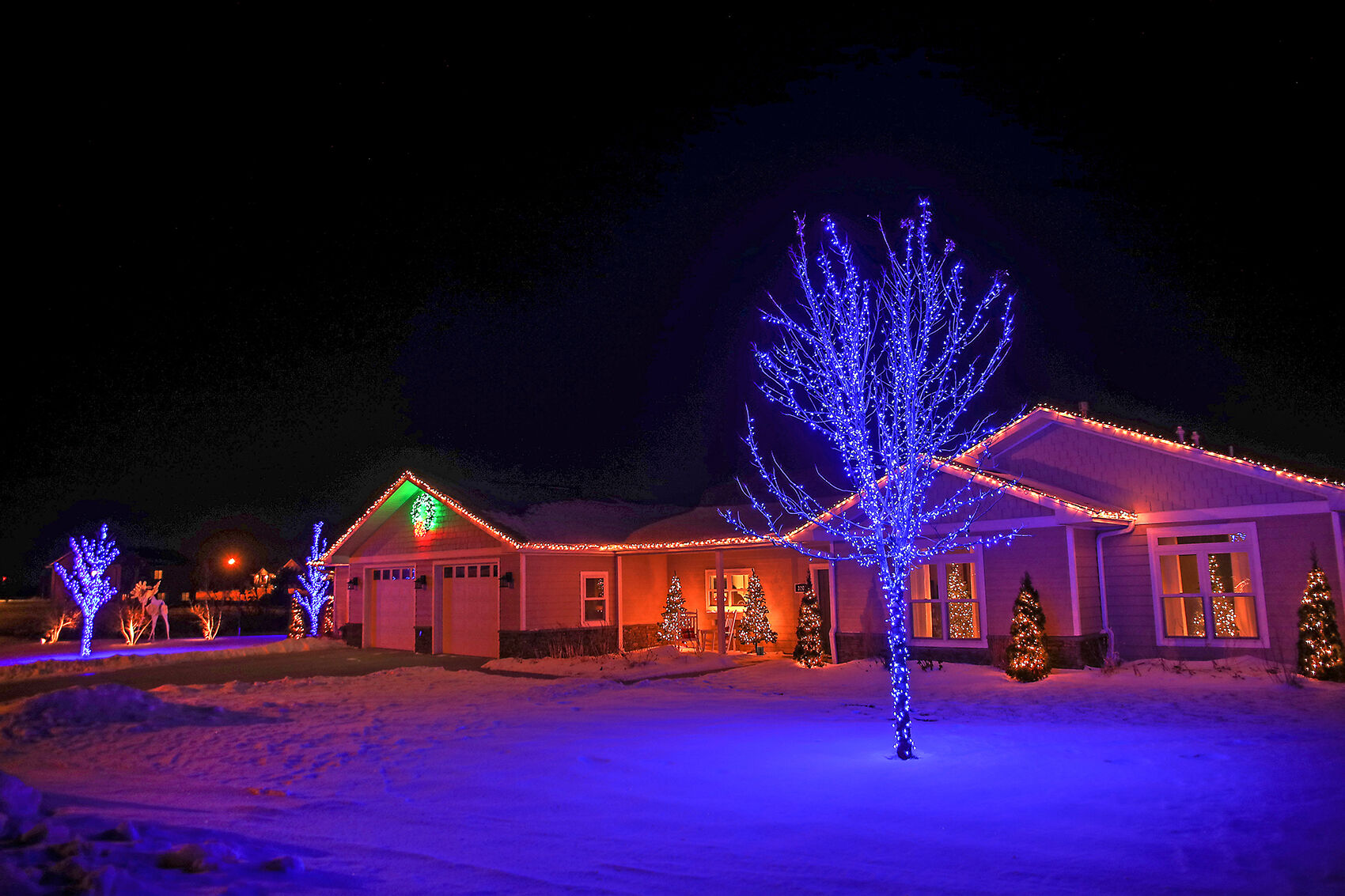 Christmas Home121919 0009.jpg